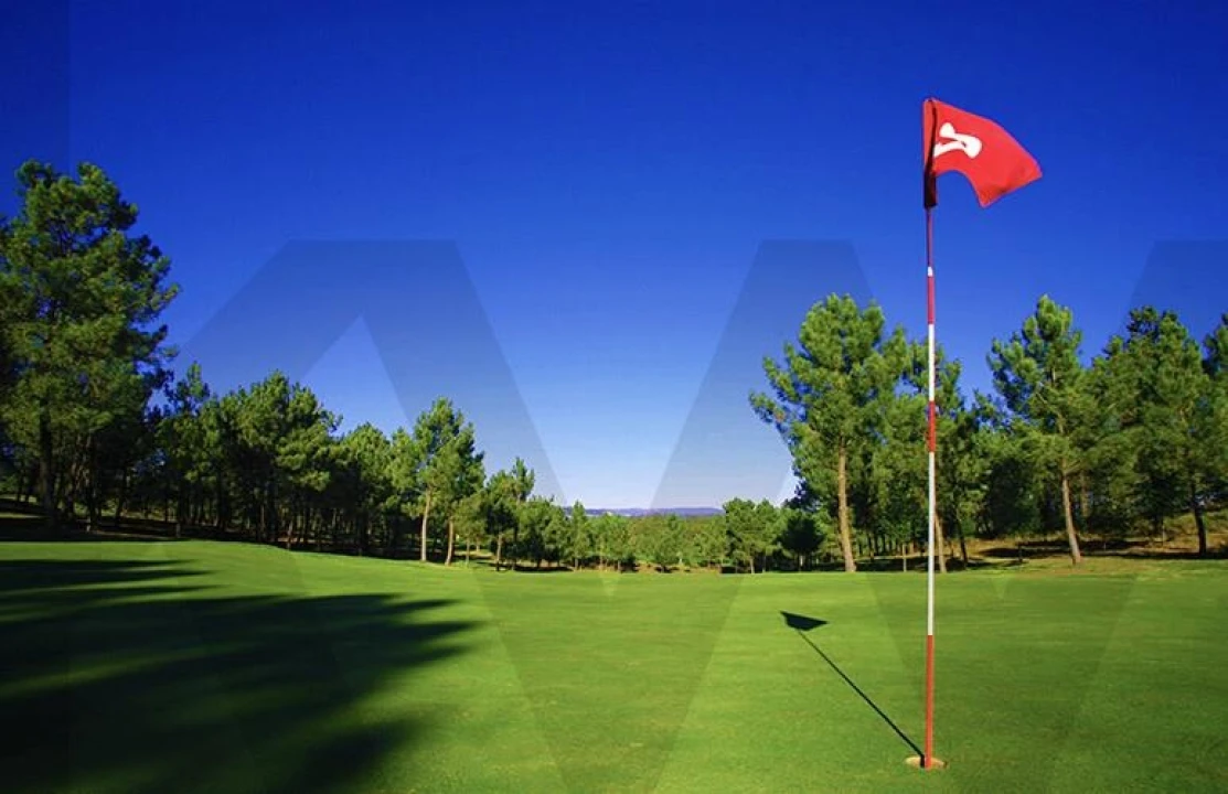 Quinta T5 para Venda em Boa Aldeia, Farminhão e Torredeita Foto 43