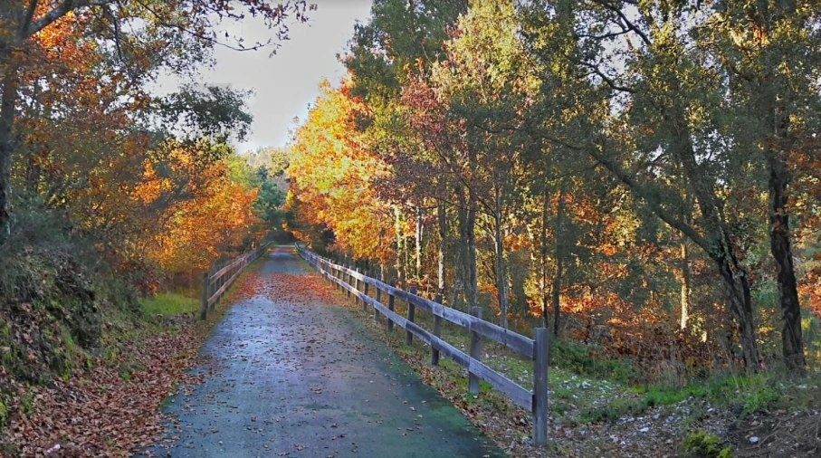 Quinta T5 para Venda em Boa Aldeia, Farminhão e Torredeita Foto 41