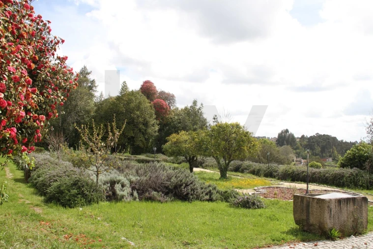 Quinta T5 para Venda em Boa Aldeia, Farminhão e Torredeita Foto 25