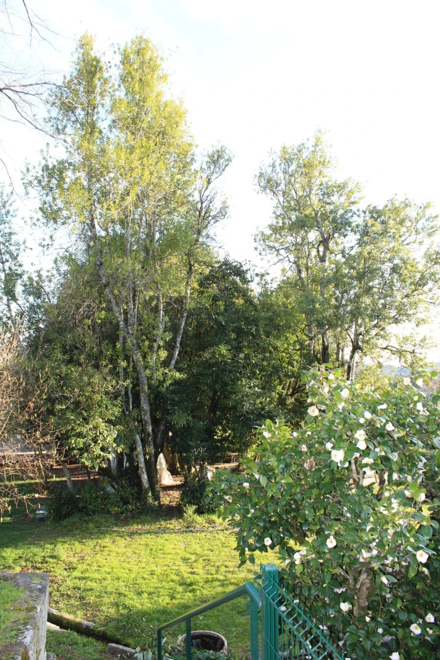 Quinta T5 para Venda em Boa Aldeia, Farminhão e Torredeita Foto 31