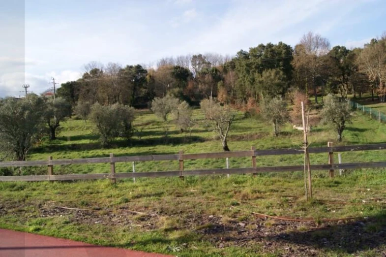 Quinta T5 para Venda em Boa Aldeia, Farminhão e Torredeita Foto 33