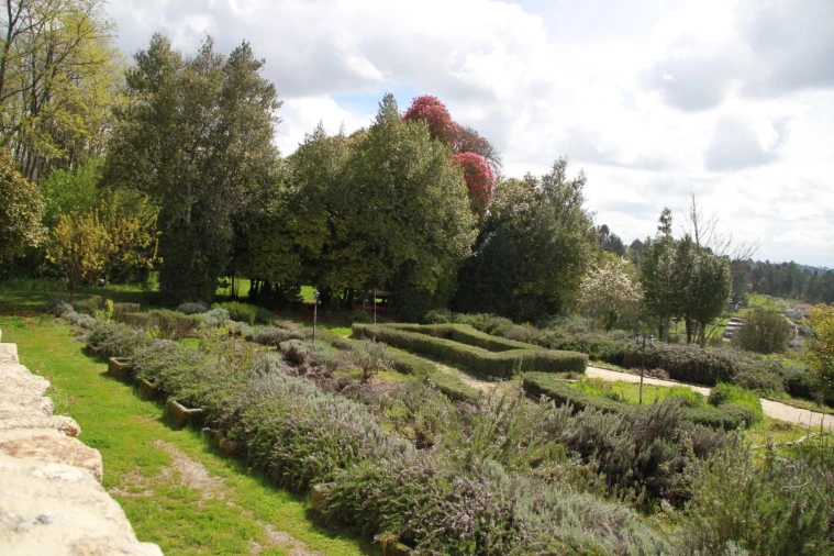 Quinta T5 para Venda em Boa Aldeia, Farminhão e Torredeita Foto 22