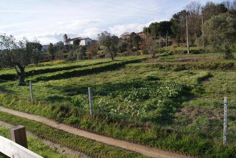 Quinta T5 para Venda em Boa Aldeia, Farminhão e Torredeita Foto 35