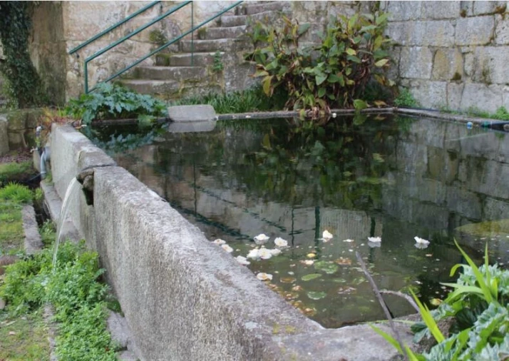 Quinta T5 para Venda em Boa Aldeia, Farminhão e Torredeita Foto 32