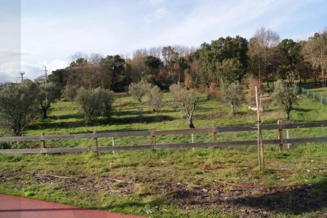 Quinta T5 para Venda em Boa Aldeia, Farminhão e Torredeita Foto 33