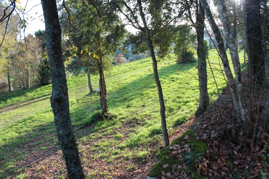 Quinta T5 para Venda em Boa Aldeia, Farminhão e Torredeita Foto 30