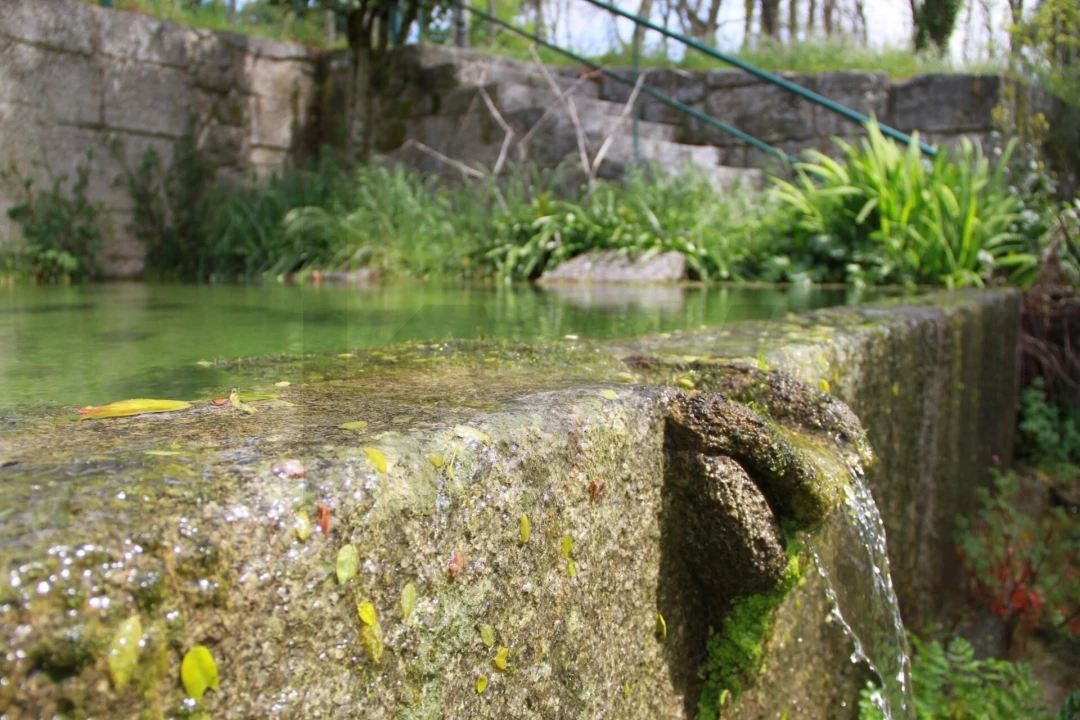 Quinta T5 para Venda em Boa Aldeia, Farminhão e Torredeita Foto 24
