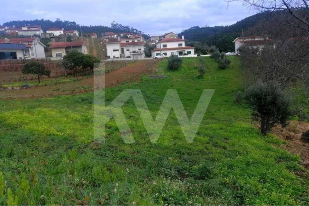 Terreno para Venda em Santo Antonio dos Olivais Foto 11