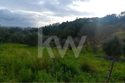 Terreno para Venda em Santo Antonio dos Olivais
