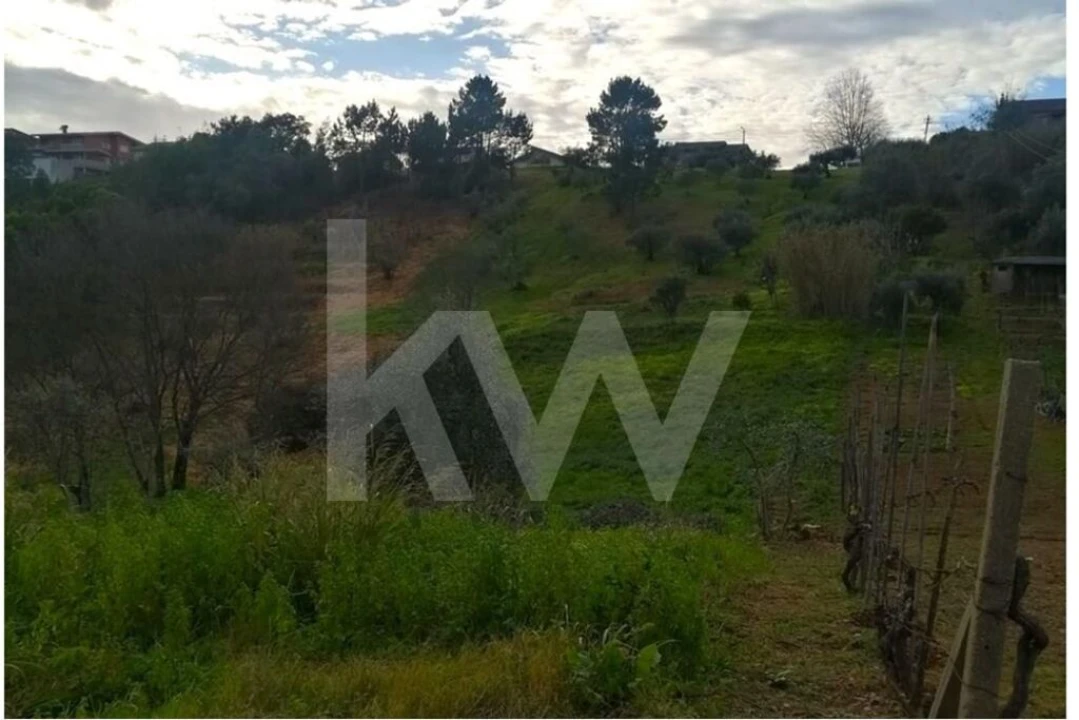 Terreno para Venda em Santo Antonio dos Olivais Foto 5