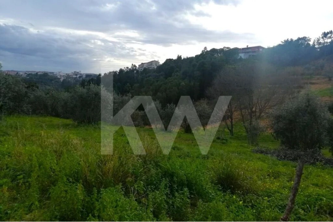 Terreno para Venda em Santo Antonio dos Olivais Foto 7
