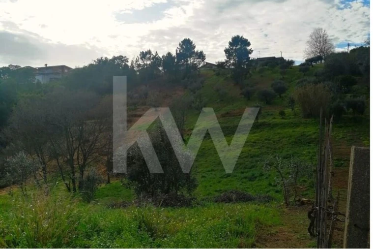Terreno para Venda em Santo Antonio dos Olivais Foto 2