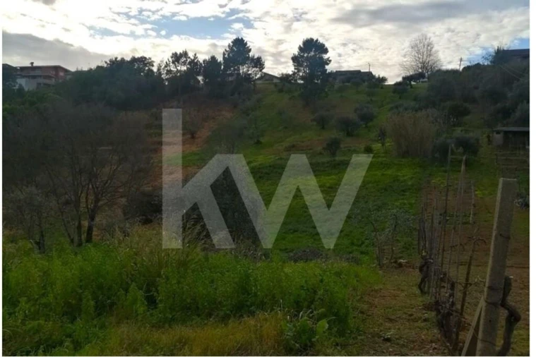 Terreno para Venda em Santo Antonio dos Olivais Foto 5