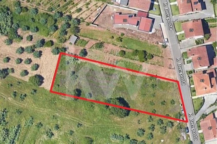Terreno para Venda em Santo Antonio dos Olivais Foto 12