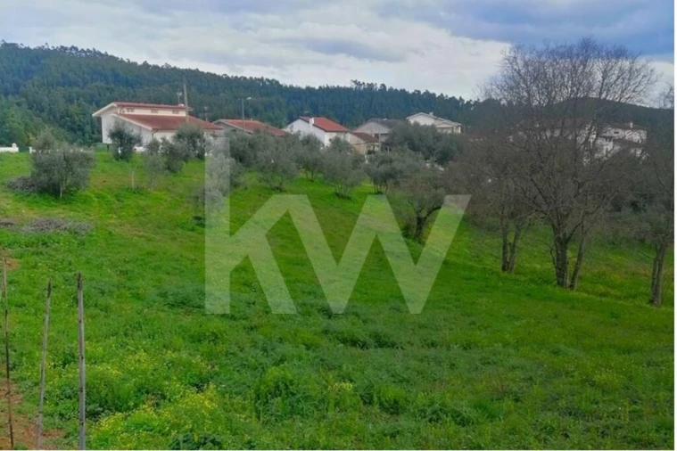 Terreno para Venda em Santo Antonio dos Olivais Foto 9