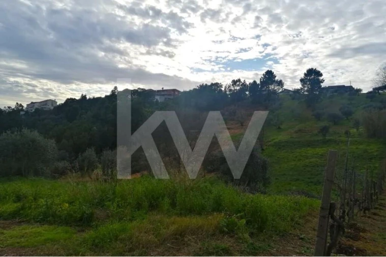Terreno para Venda em Santo Antonio dos Olivais Foto 4