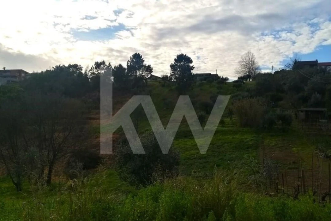 Terreno para Venda em Santo Antonio dos Olivais Foto 6