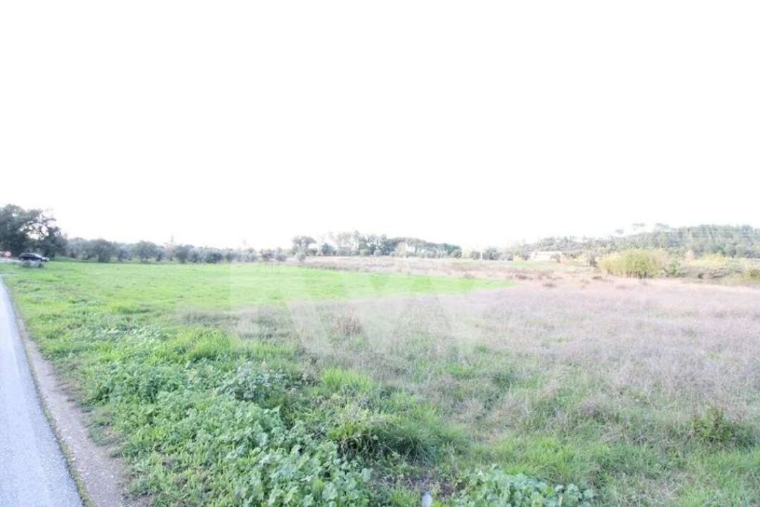 Terreno para Venda em Soure Foto 4