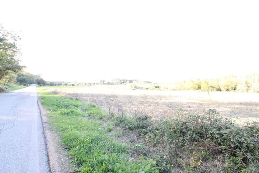 Terreno para Venda em Soure Foto 5