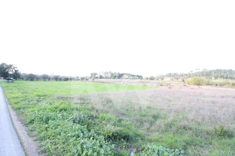 Terreno para Venda em Soure Foto 4