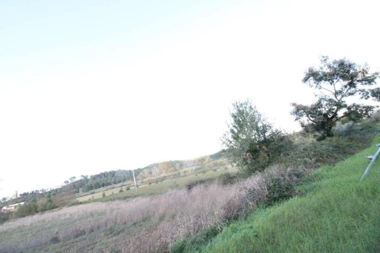 Terreno para Venda em Soure Foto 9