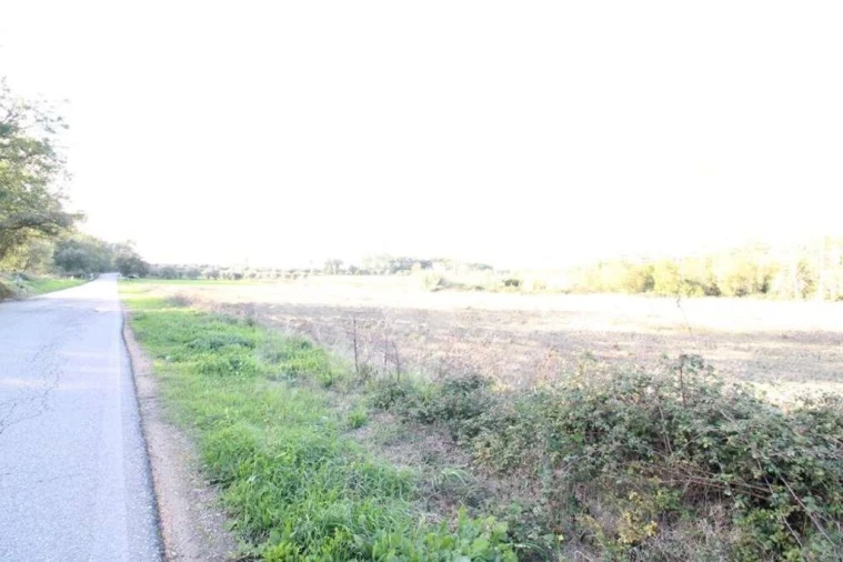 Terreno para Venda em Soure Foto 5