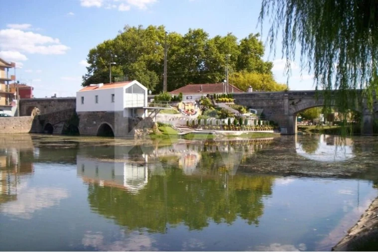 Terreno para Venda em Soure Foto 14