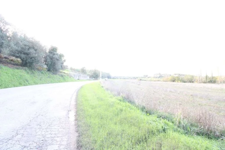 Terreno para Venda em Soure Foto 7