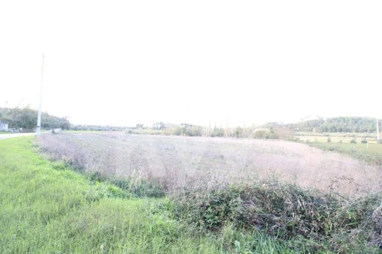 Terreno para Venda em Soure Foto 8