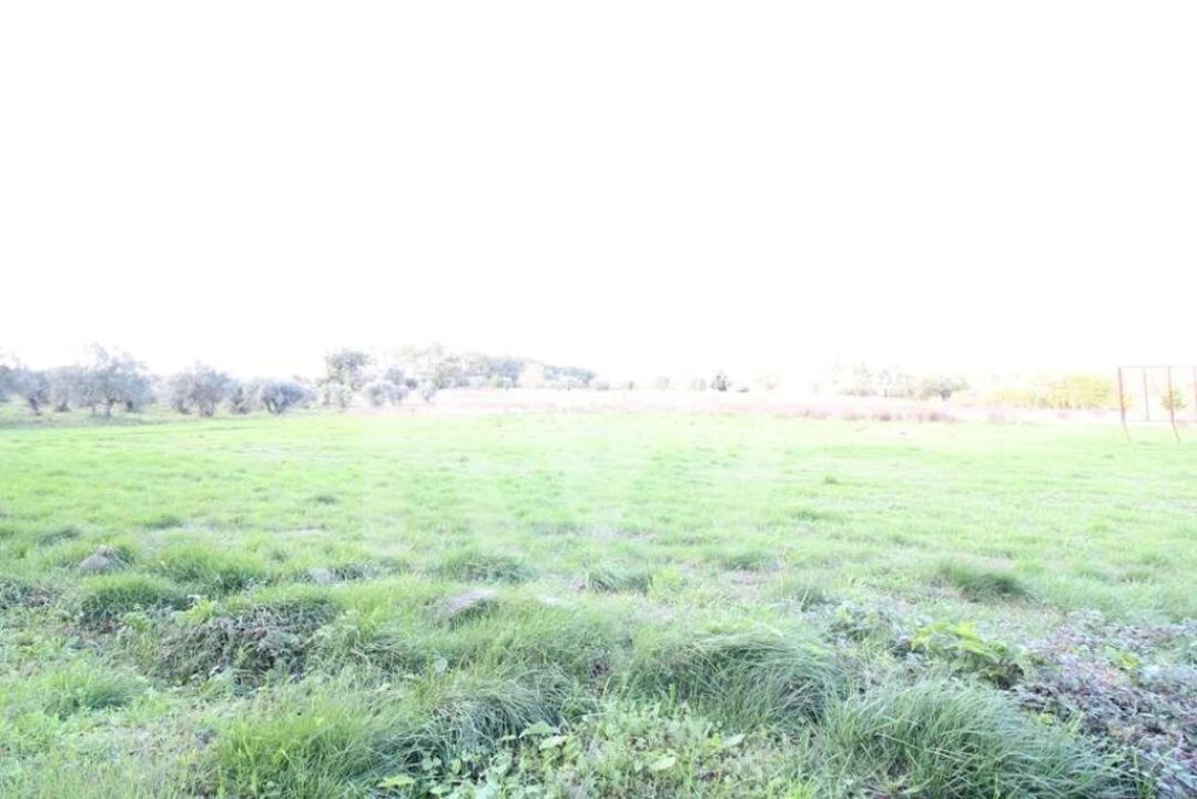 Terreno para Venda em Soure Foto 3