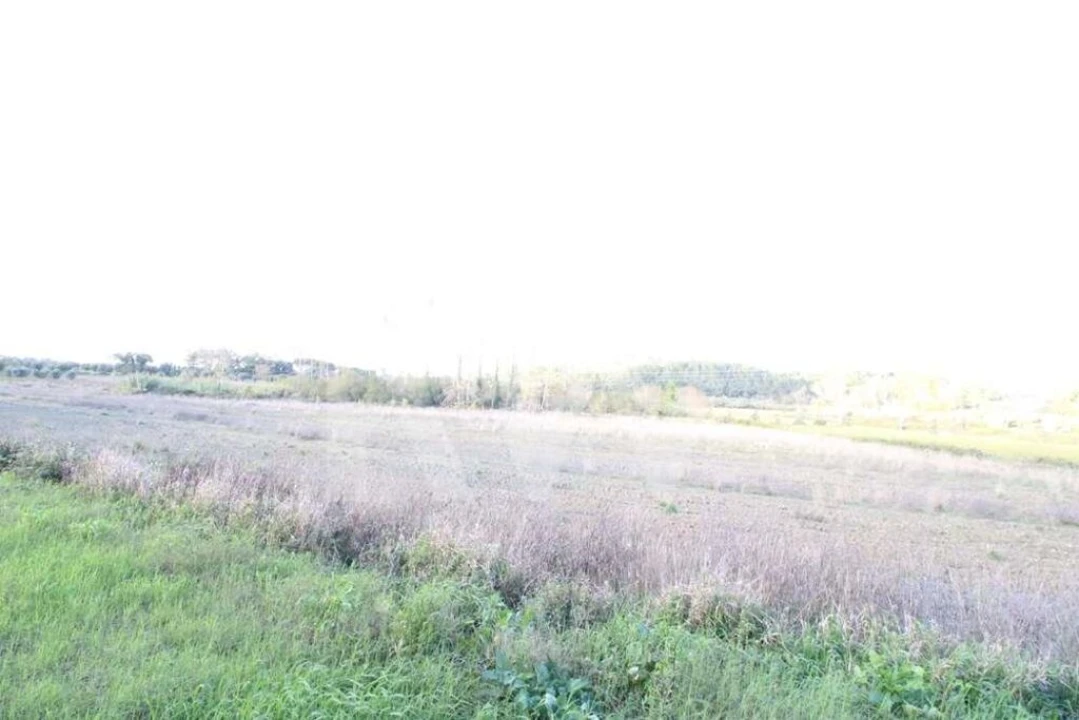 Terreno para Venda em Soure Foto 6