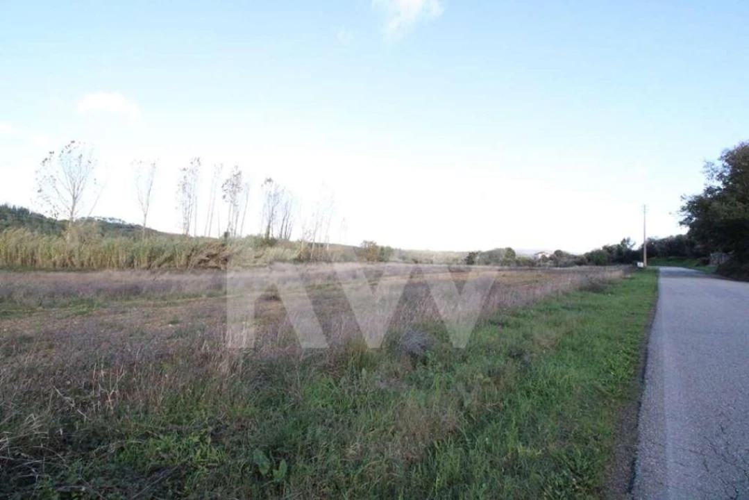 Terreno para Venda em Soure Foto 11