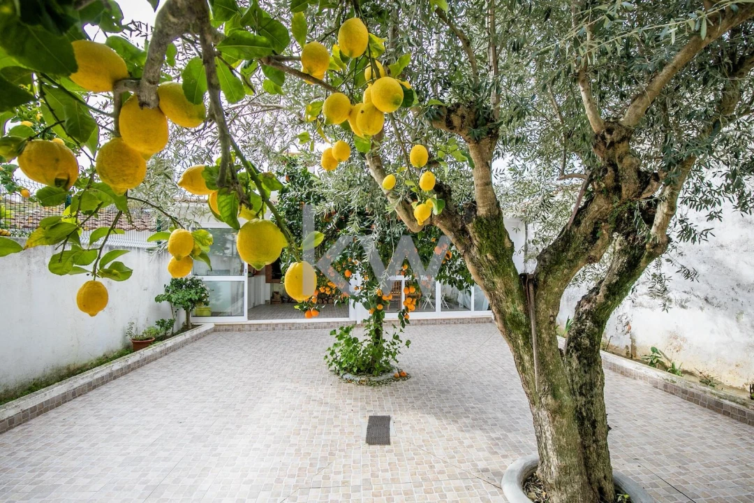 Moradia T5 para Venda em Vaiamonte Foto 24