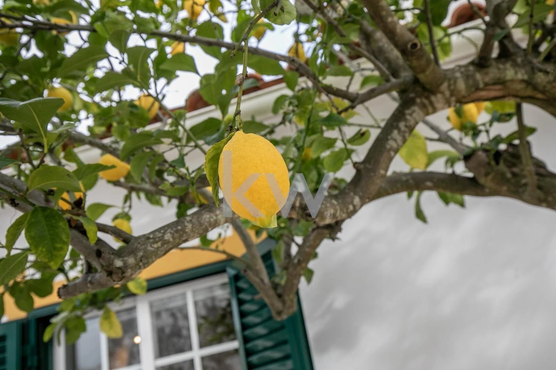 Moradia T5 para Venda em Vaiamonte Foto 29