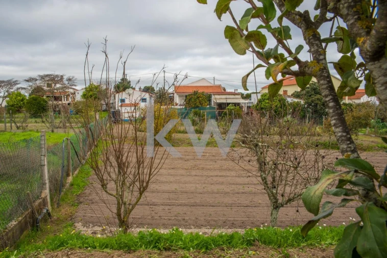 Quinta T3 para Venda em Coruche, Fajarda e Erra Foto 26