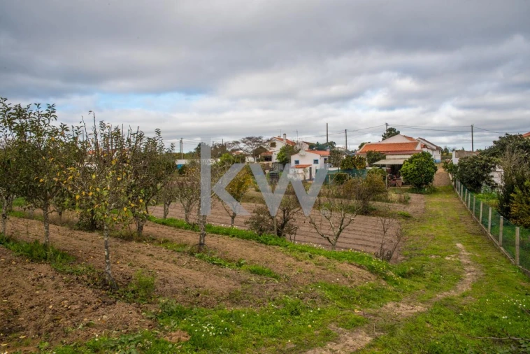 Quinta T3 para Venda em Coruche, Fajarda e Erra Foto 23