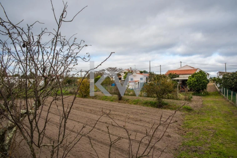 Quinta T3 para Venda em Coruche, Fajarda e Erra Foto 25