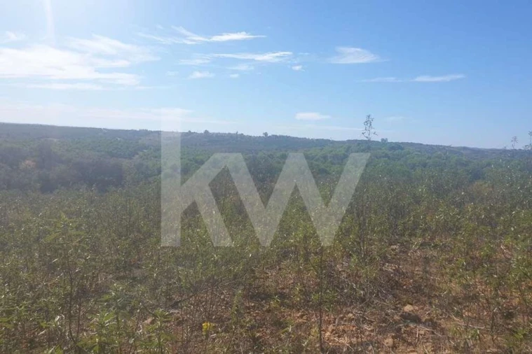 Terreno para Venda em Azinhal Foto 5