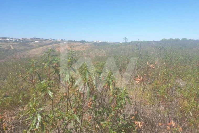 Terreno para Venda em Azinhal Foto 4