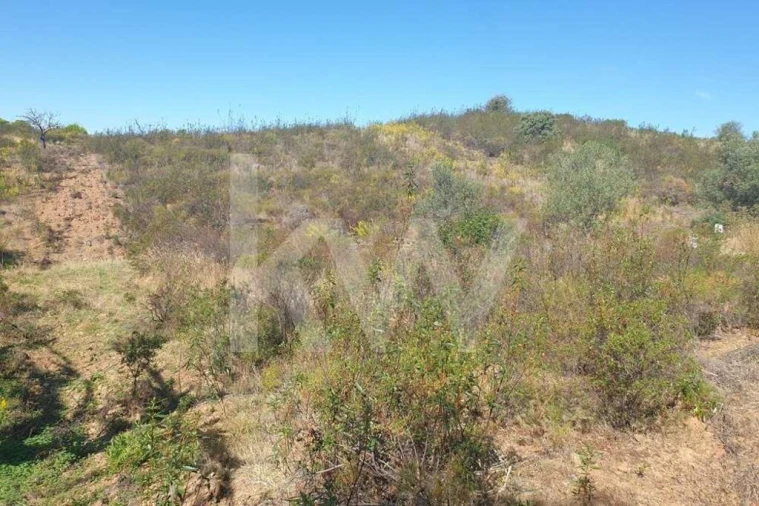 Terreno para Venda em Azinhal Foto 2