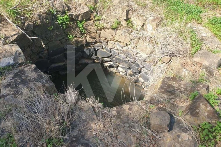 Terreno para Venda em Azinhal Foto 10