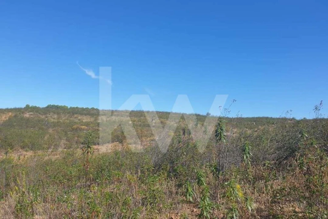 Terreno para Venda em Azinhal Foto 6
