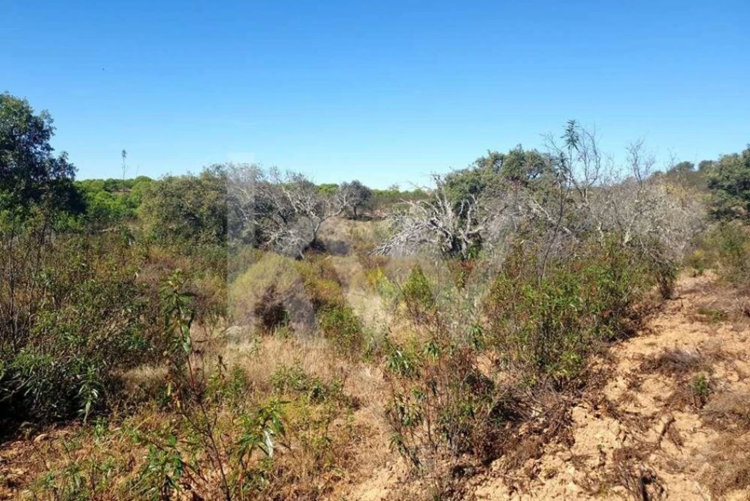 Terreno para Venda em Azinhal Foto 9