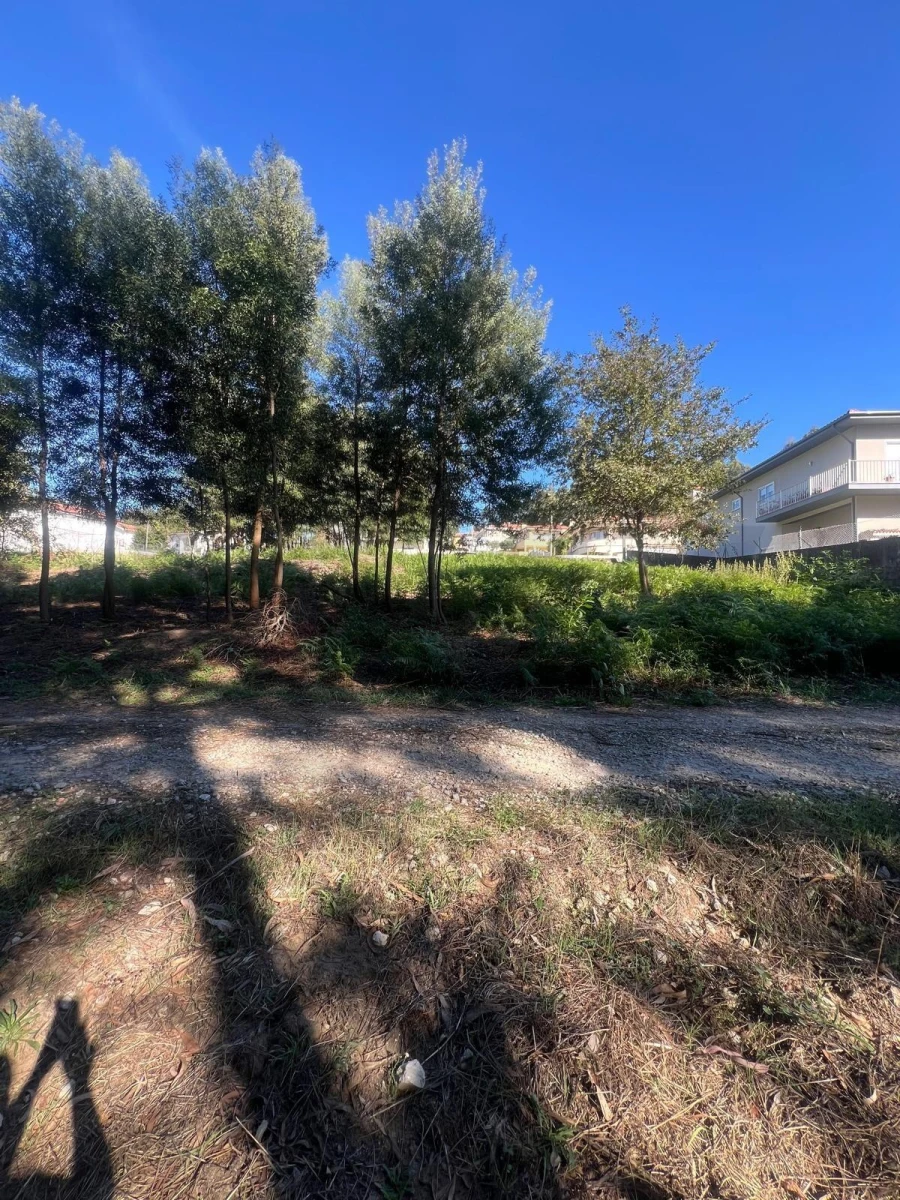 Terreno para Venda em Nogueira da Regedoura Foto 10