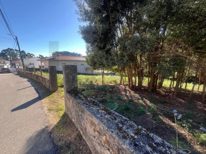 Terreno para Venda em Nogueira da Regedoura Foto 2