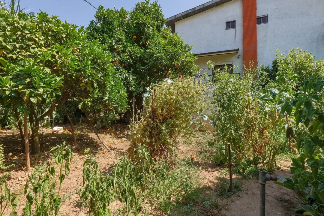 Moradia T4 para Venda em Foz do Sousa e Covelo Foto 32