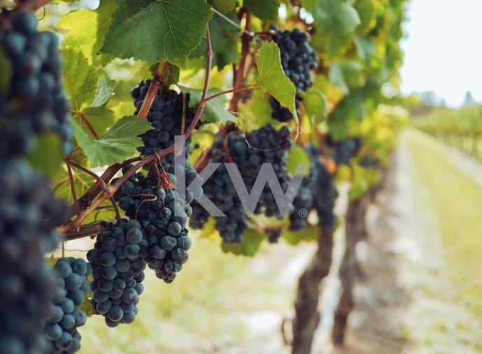 Terreno para Venda em Poceirão e Marateca Foto 29