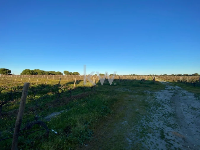 Terreno para Venda em Poceirão e Marateca Foto 17