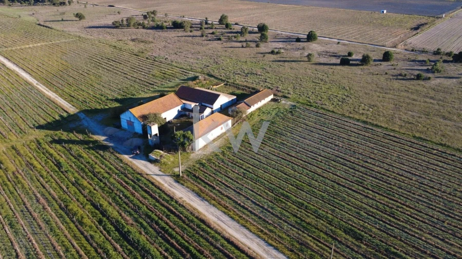 Terreno para Venda em Poceirão e Marateca Foto 5