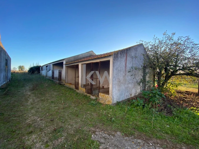 Terreno para Venda em Poceirão e Marateca Foto 14